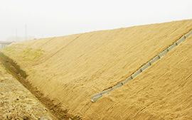 Geo Green Hidrogreen - servizi di recupero ambientale